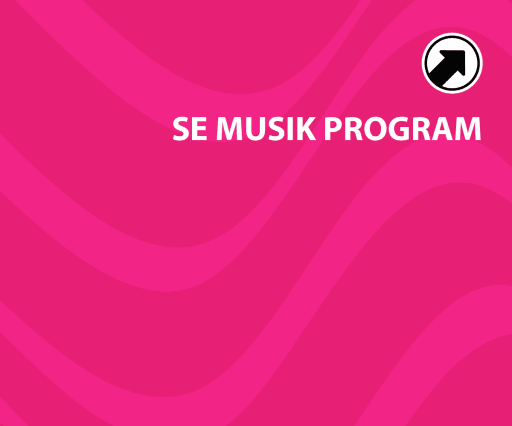 Musikprogram for Bakkefest med live bands og DJ.